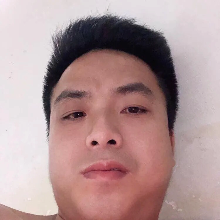 现实苦恋花瓣的照片