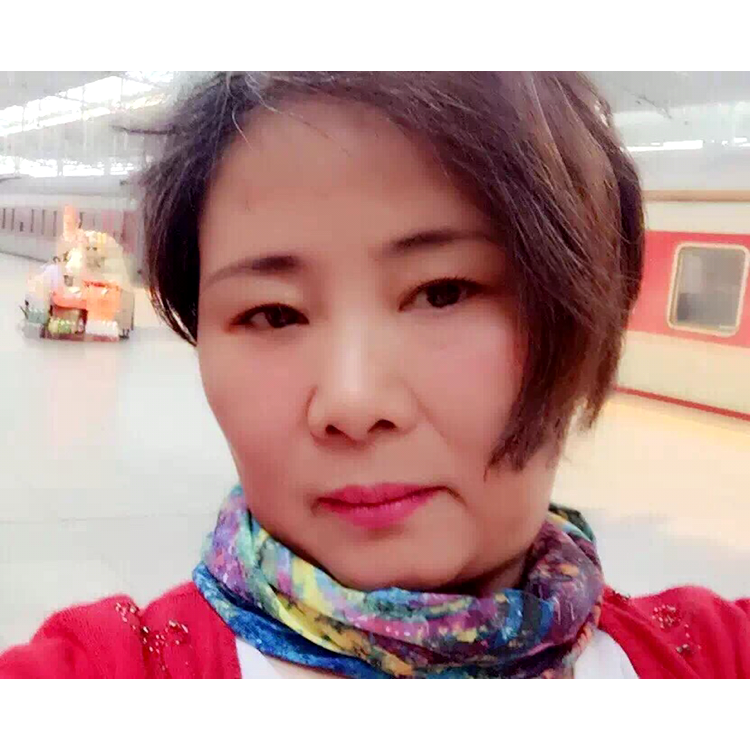 小海豚爱恋野性的照片