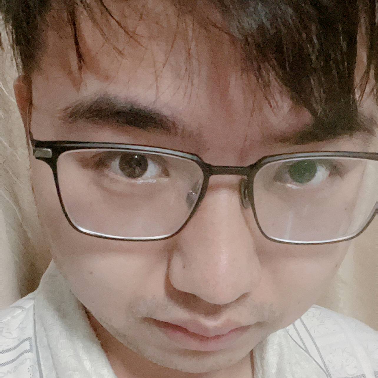 恬静的过客的照片