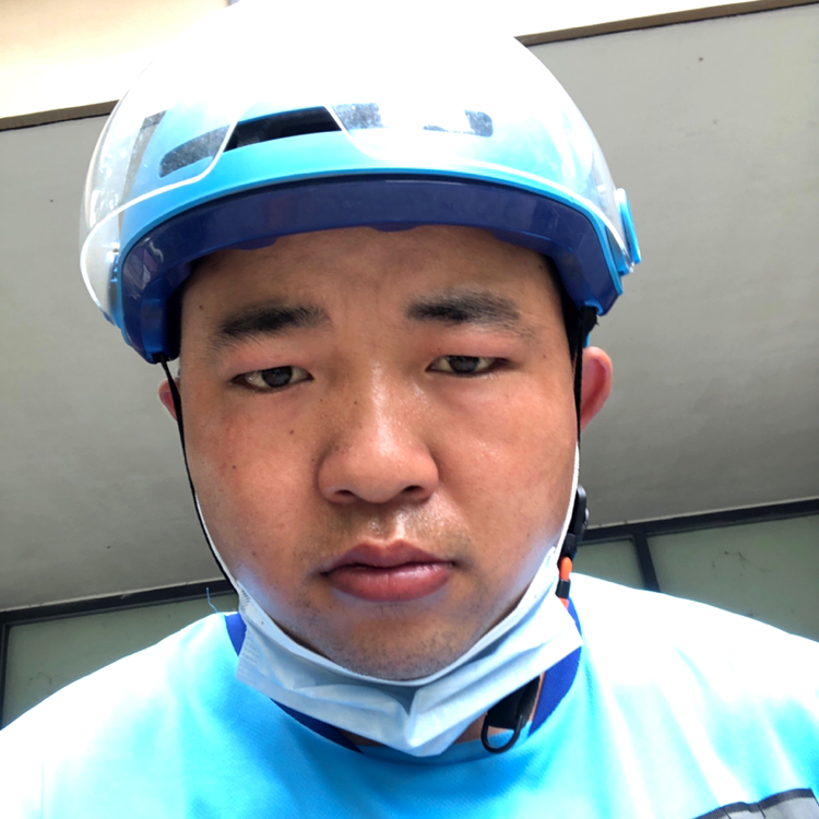 小蜜蜂的照片