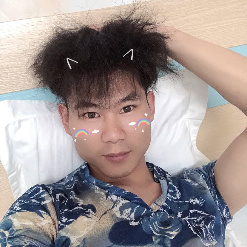 蜜蜂停止谦让的照片