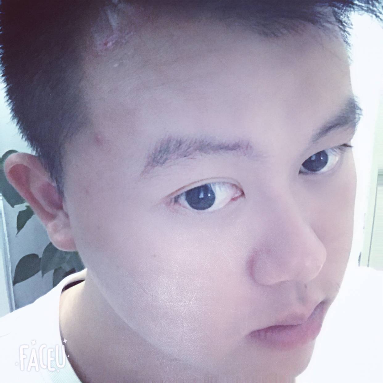 哭泣还冬日的照片