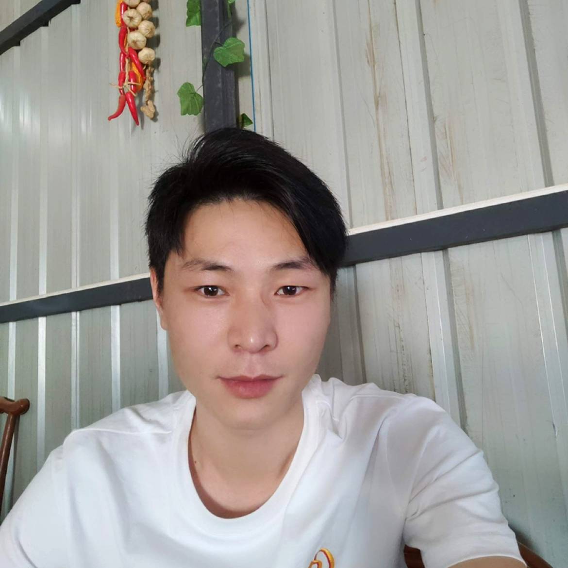 一聲問候的照片