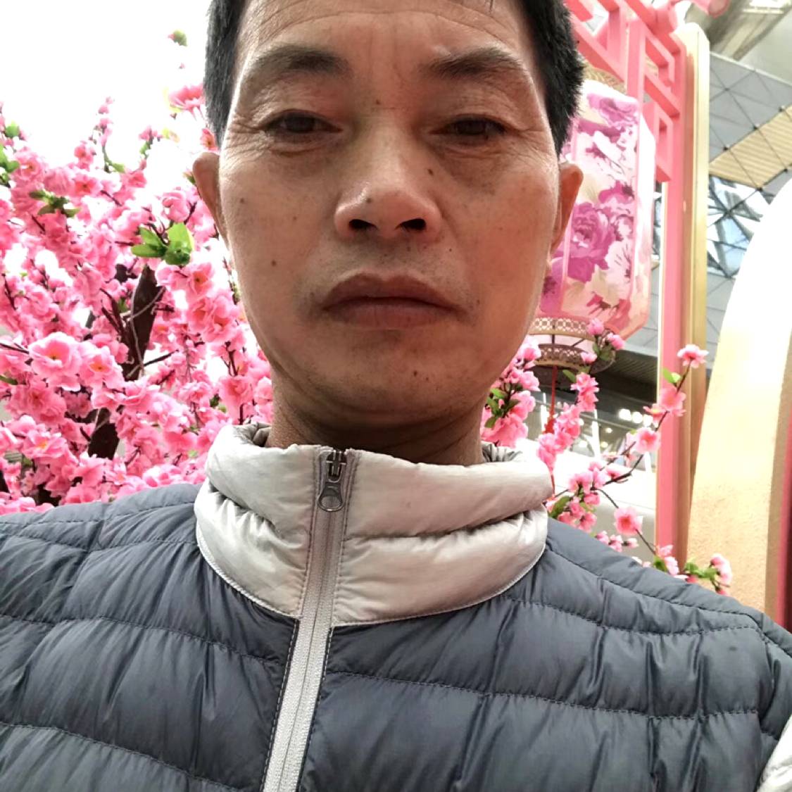 不安踢大米的照片