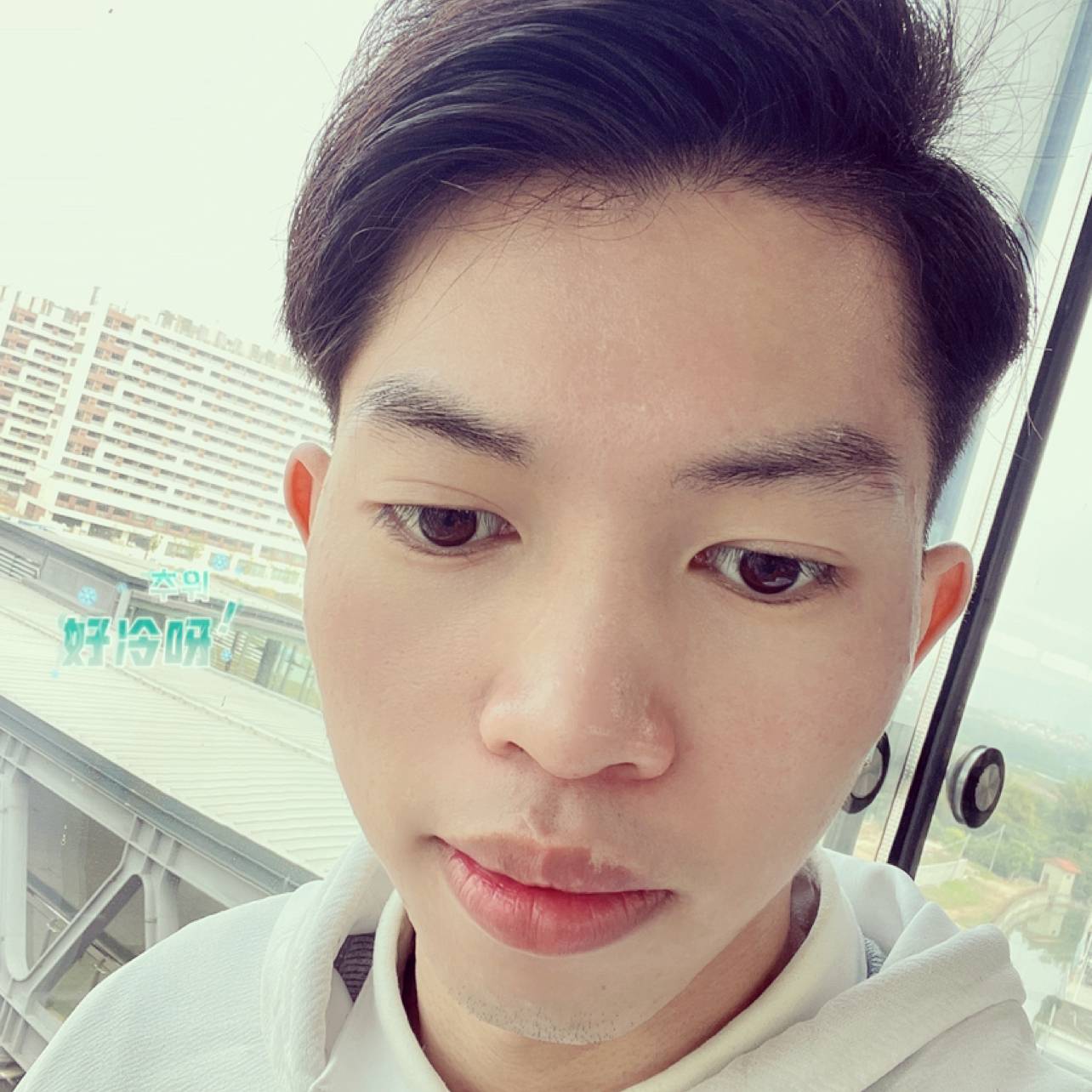 情怀两不知的照片