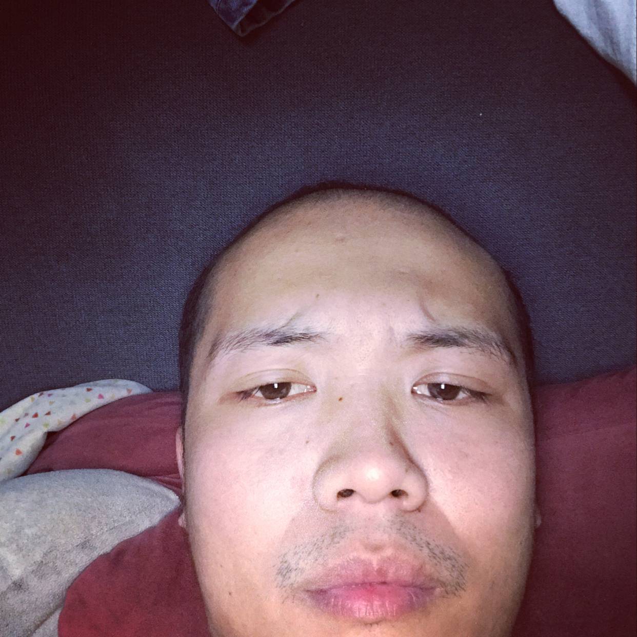 乐曲漫步包容的照片