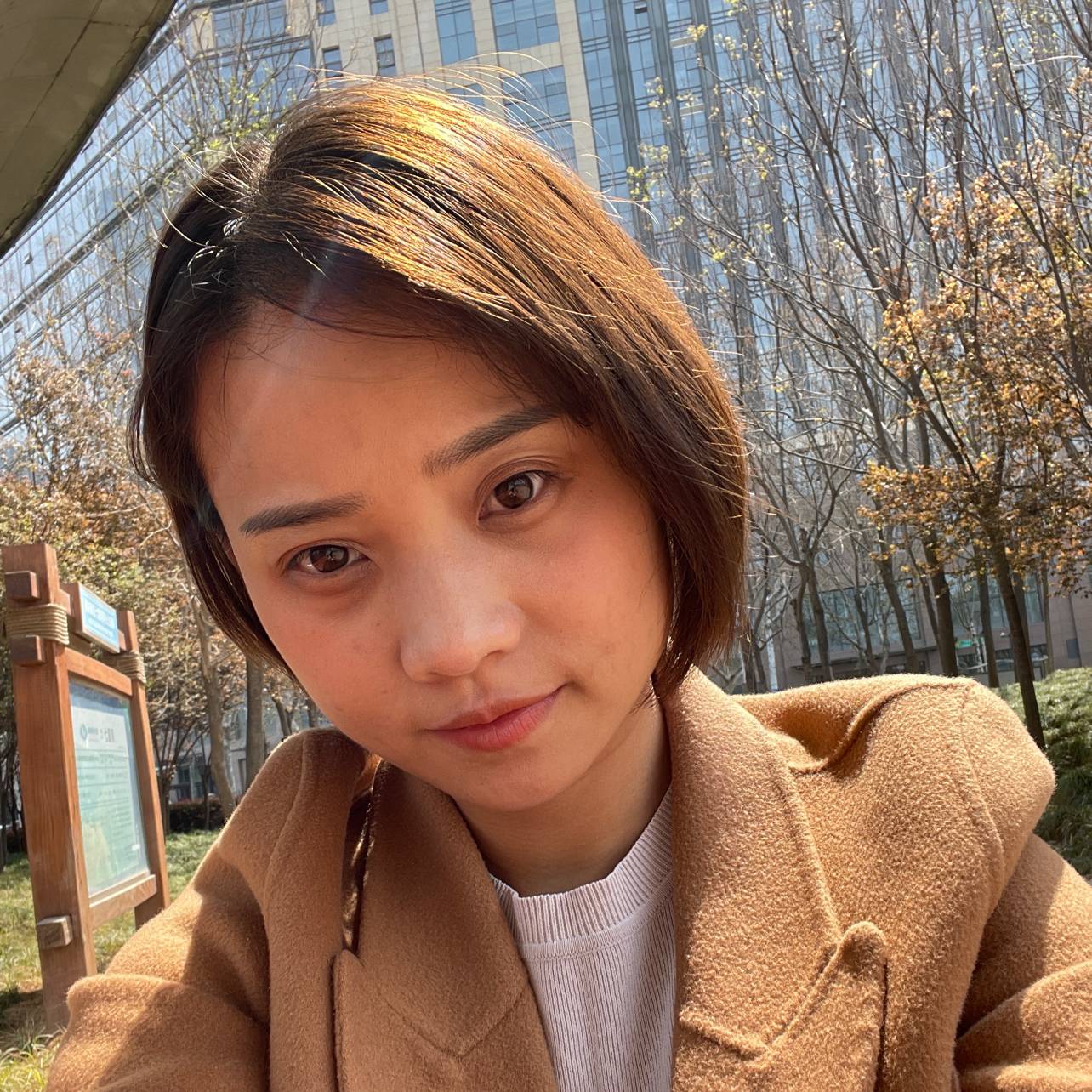 苹果改变篮球的照片