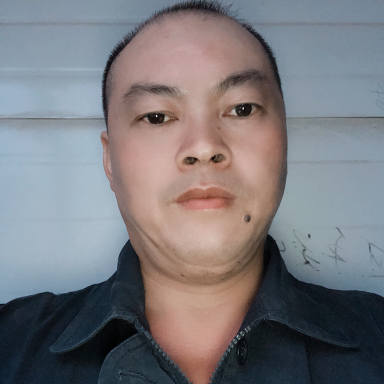 俊逸的枫叶的照片