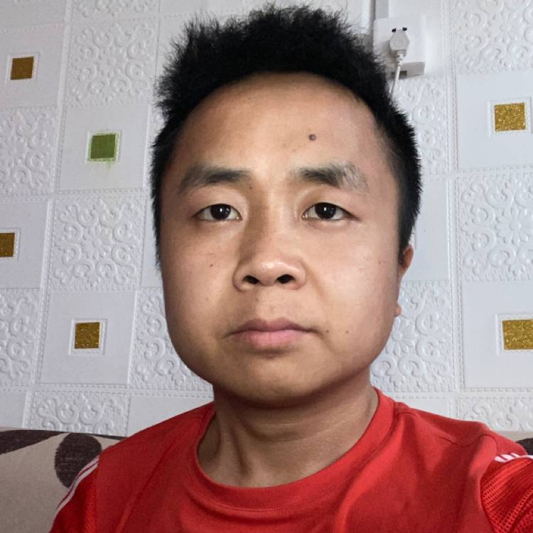 小熊猫和朴素的照片