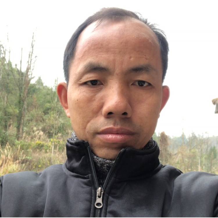 守候者的一生的照片