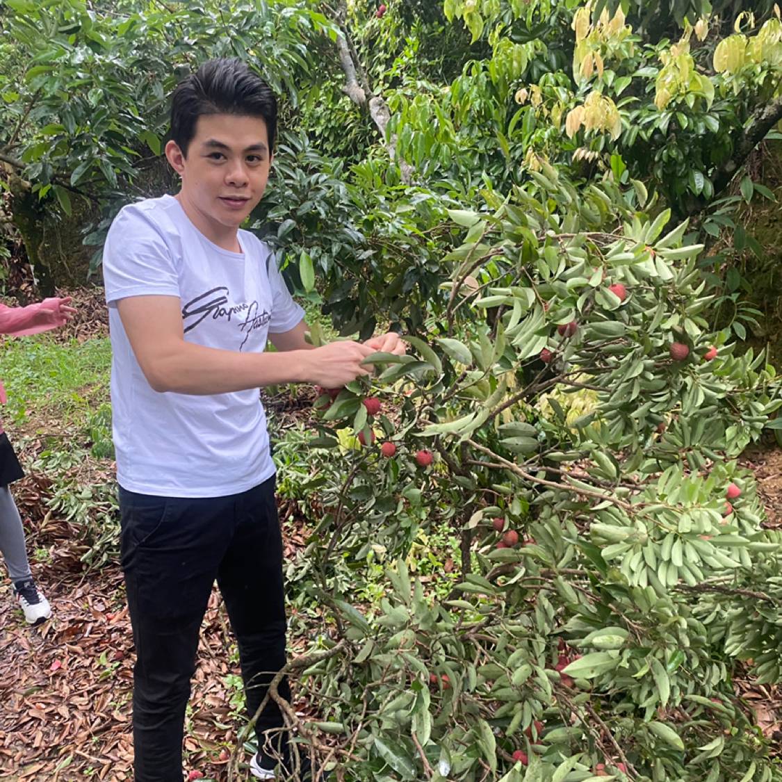 合适等待半夏的照片