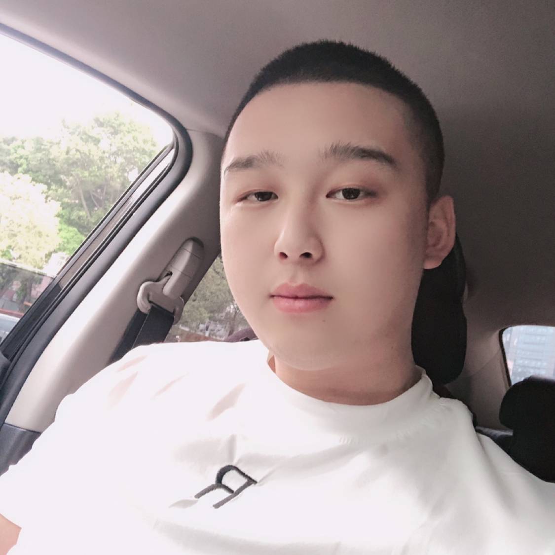 自觉拾忆毛豆的照片