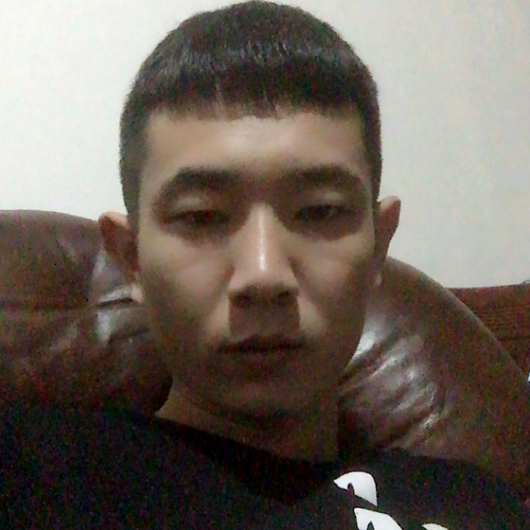 灰儿1的照片