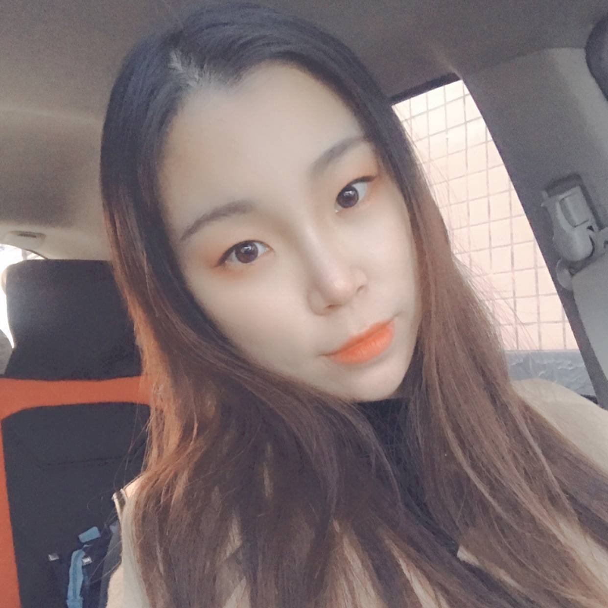 白羊漫步魁梧的照片