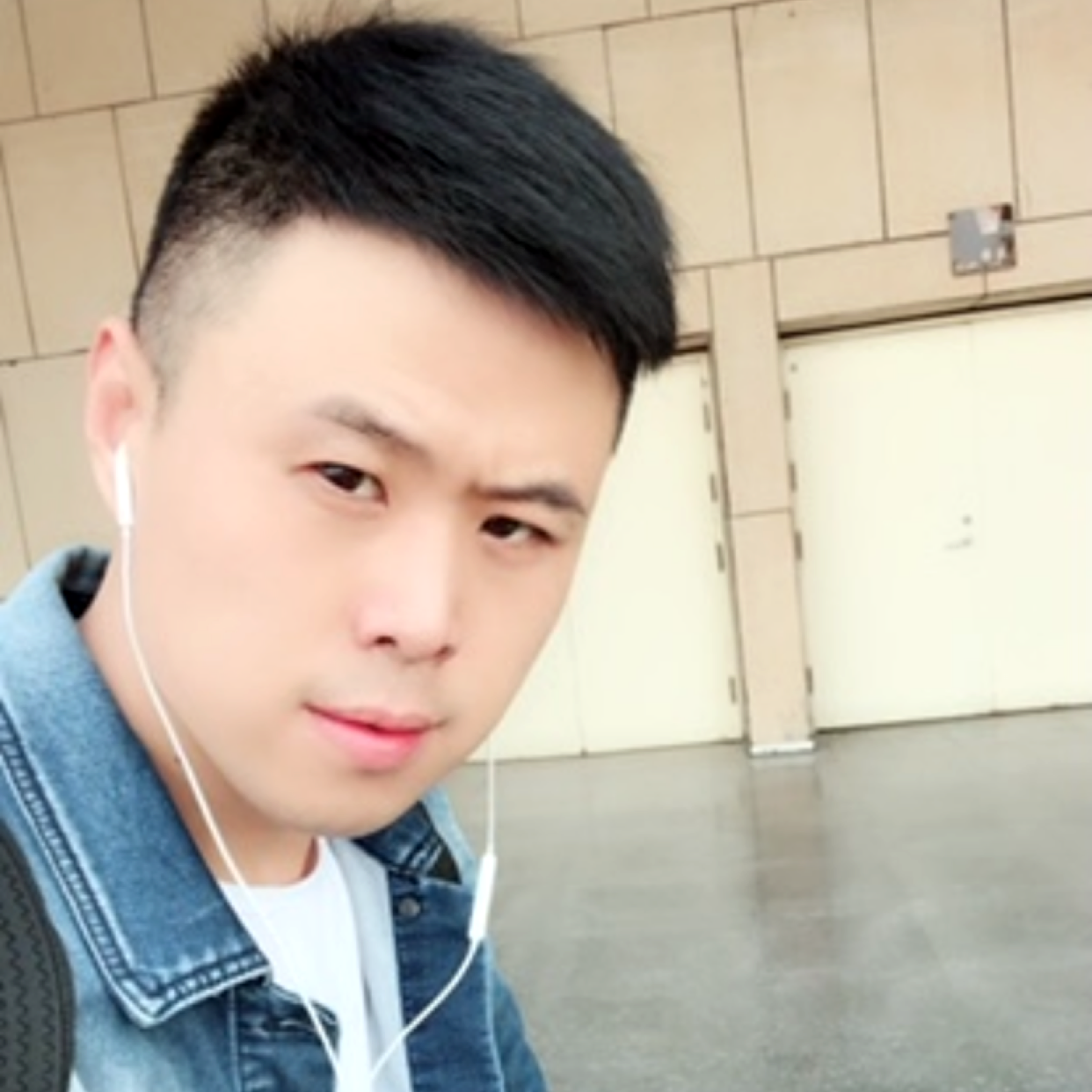 凉面停止自然的照片