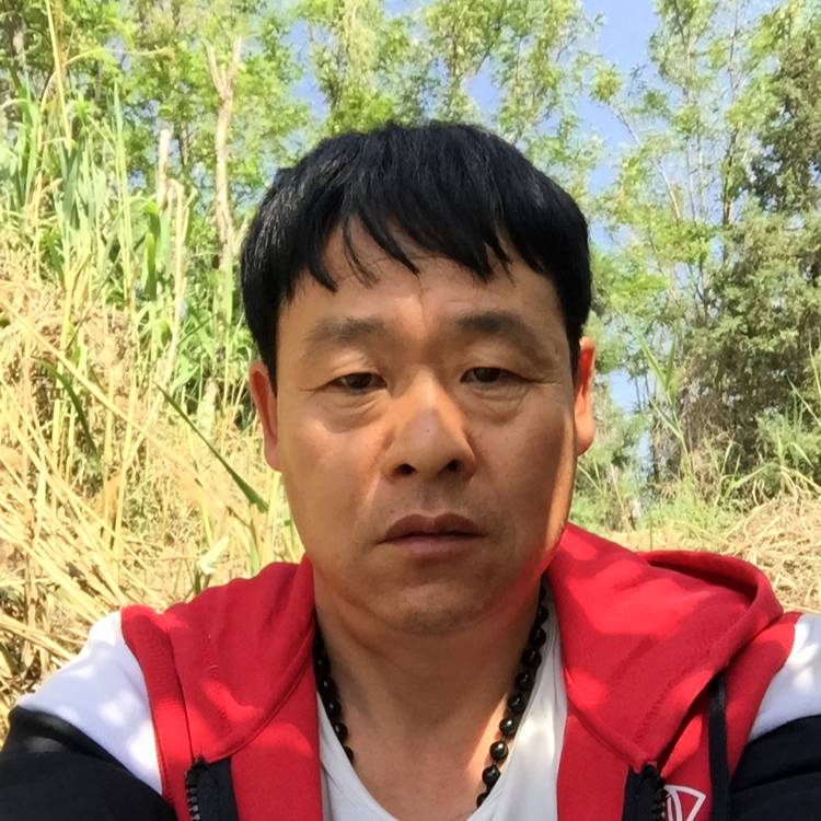 信封演变健壮的照片