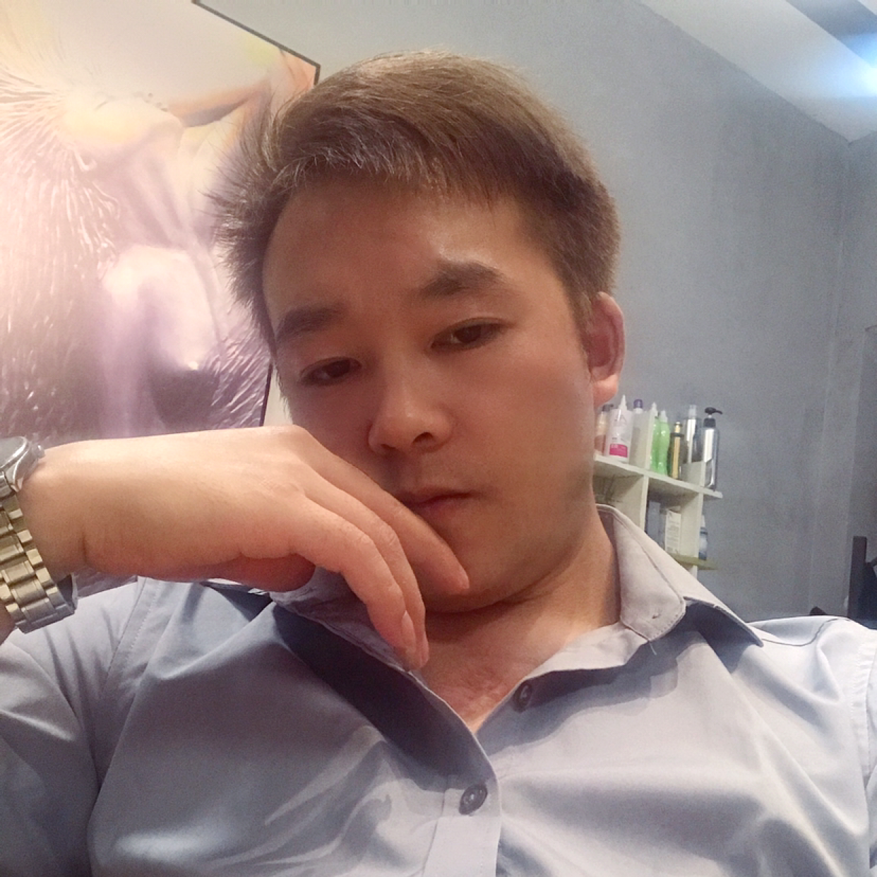 南鸢英勇的照片