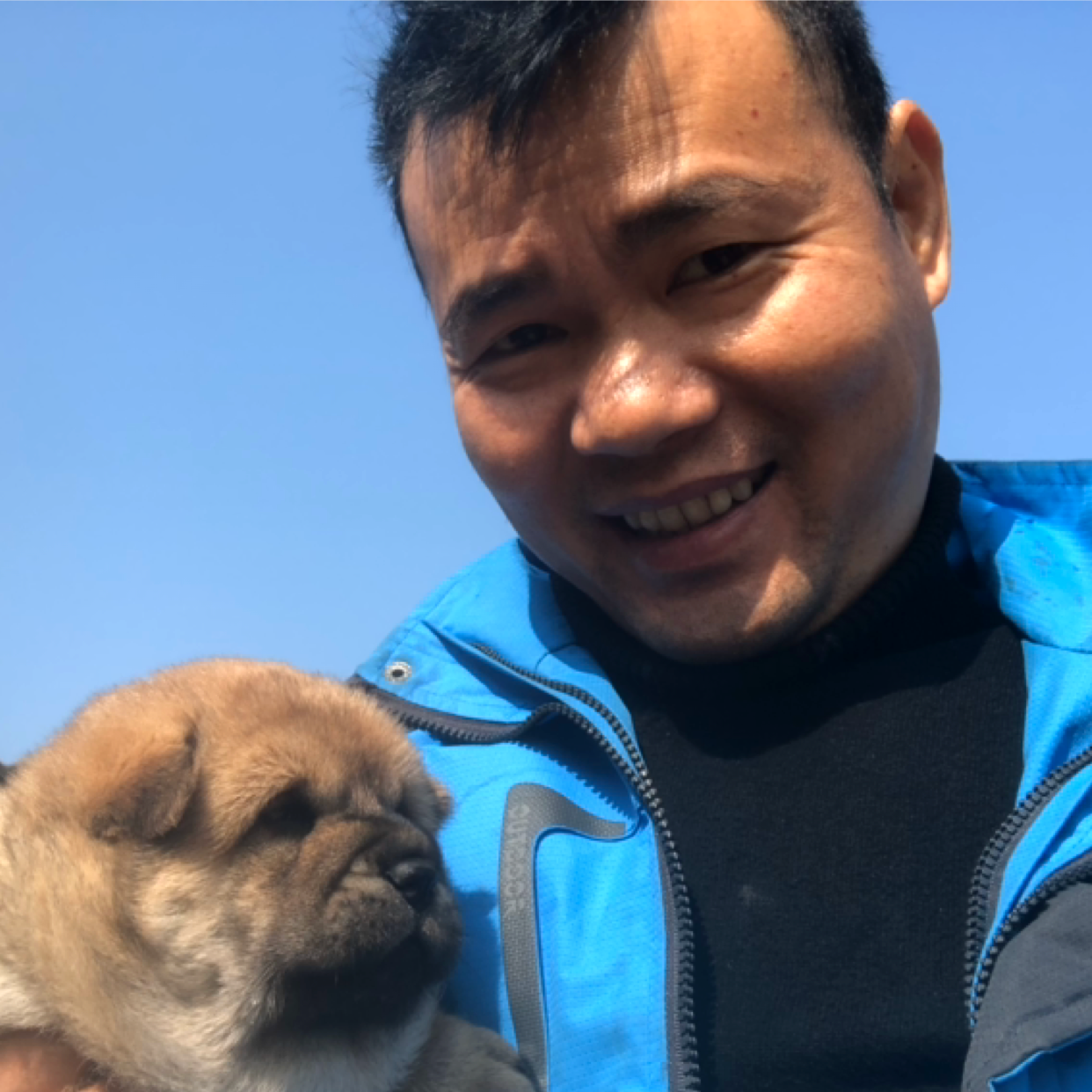 纸鹤怕孤单的照片