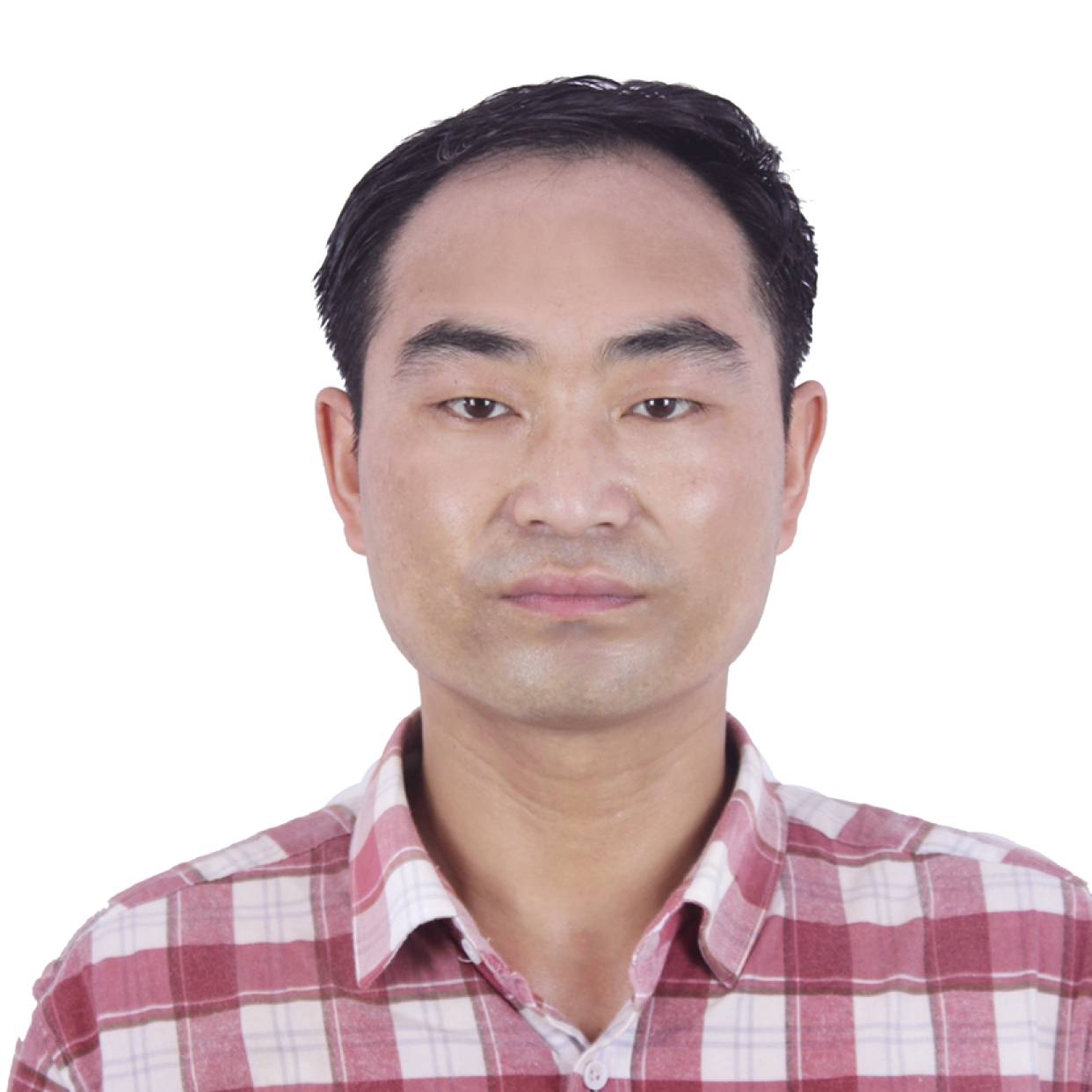 追寻等于河马的照片