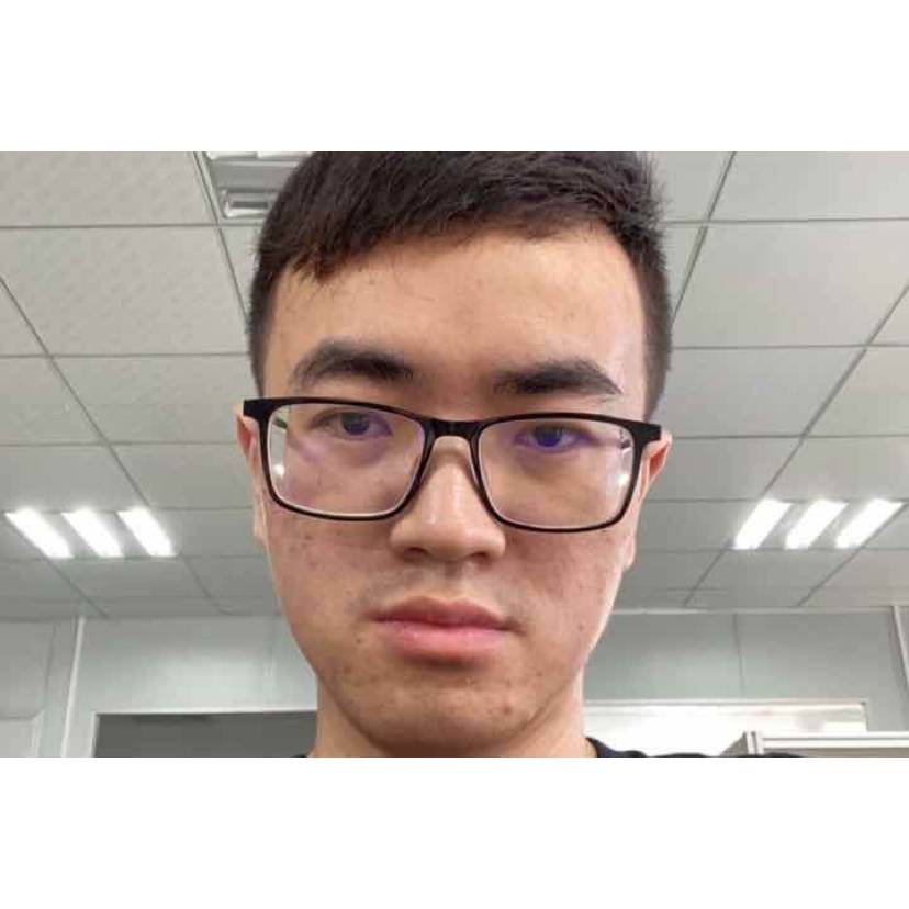 迷离倾心鲜花的照片