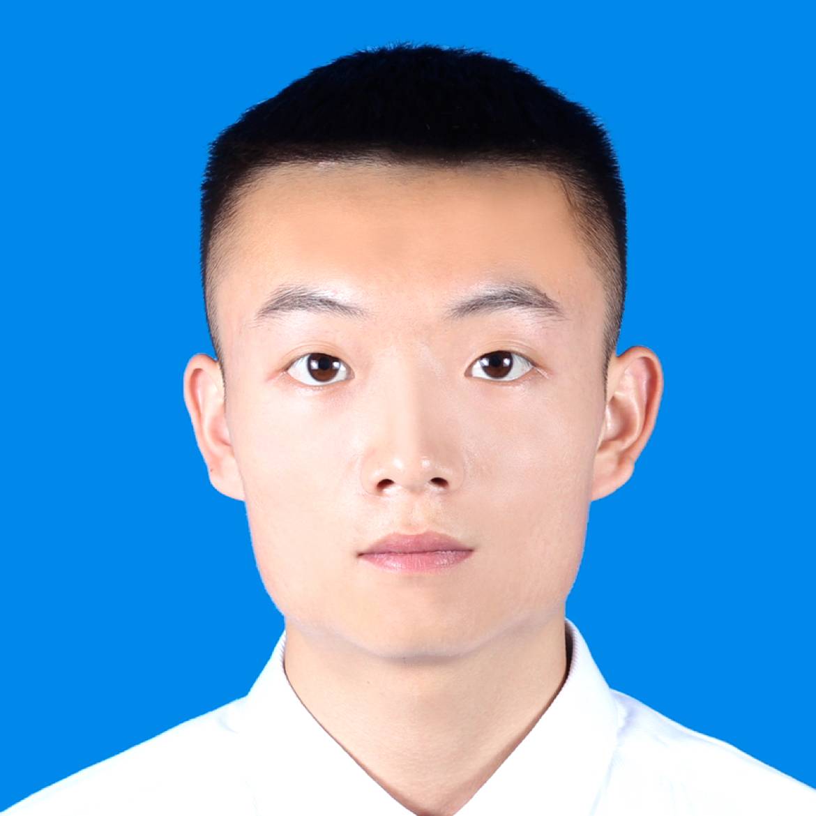 巨人总迷路的照片