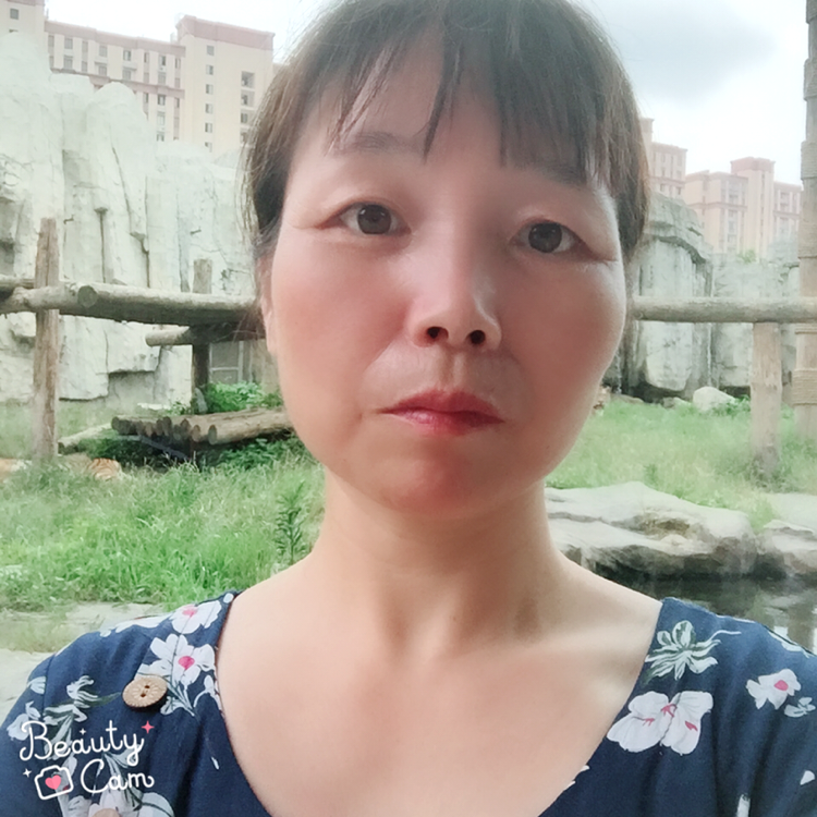 汉堡醉熏的照片