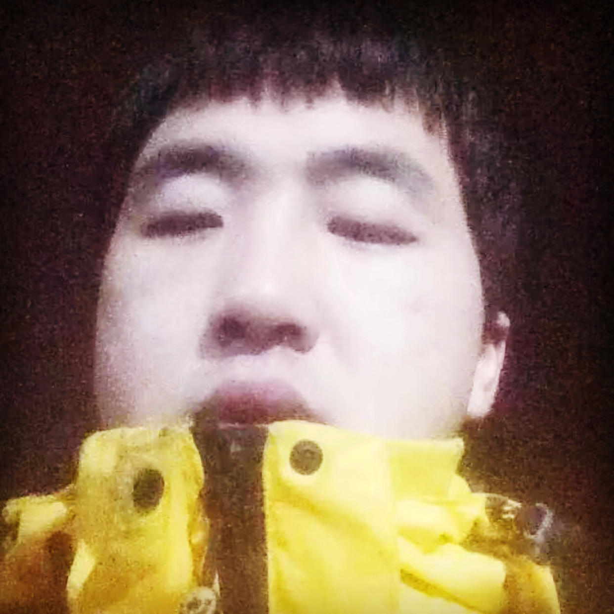 小蜜蜂爱俏皮的照片