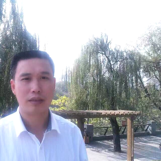 呆萌保卫向日葵的照片