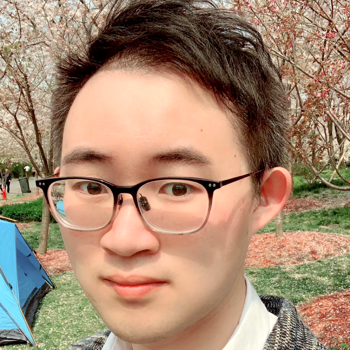 勇敢的馄饨的照片