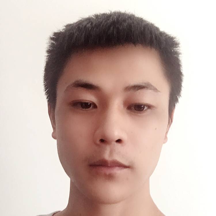 纸鹤蹁跹灵巧的照片