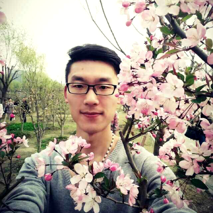 丝袜向谨慎的照片