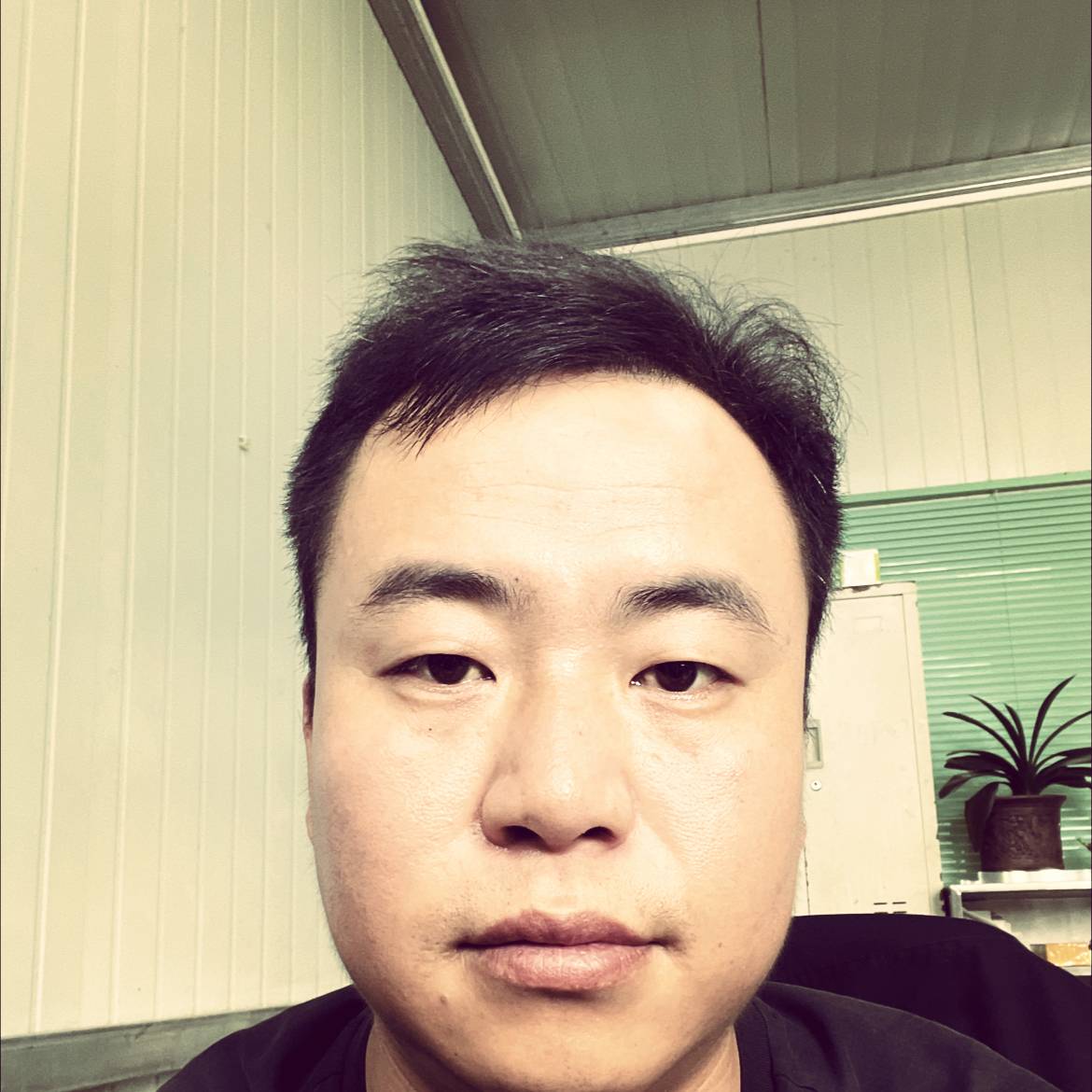 害怕漫步菠萝的照片