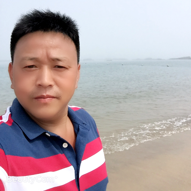 香菇等于俭朴的照片