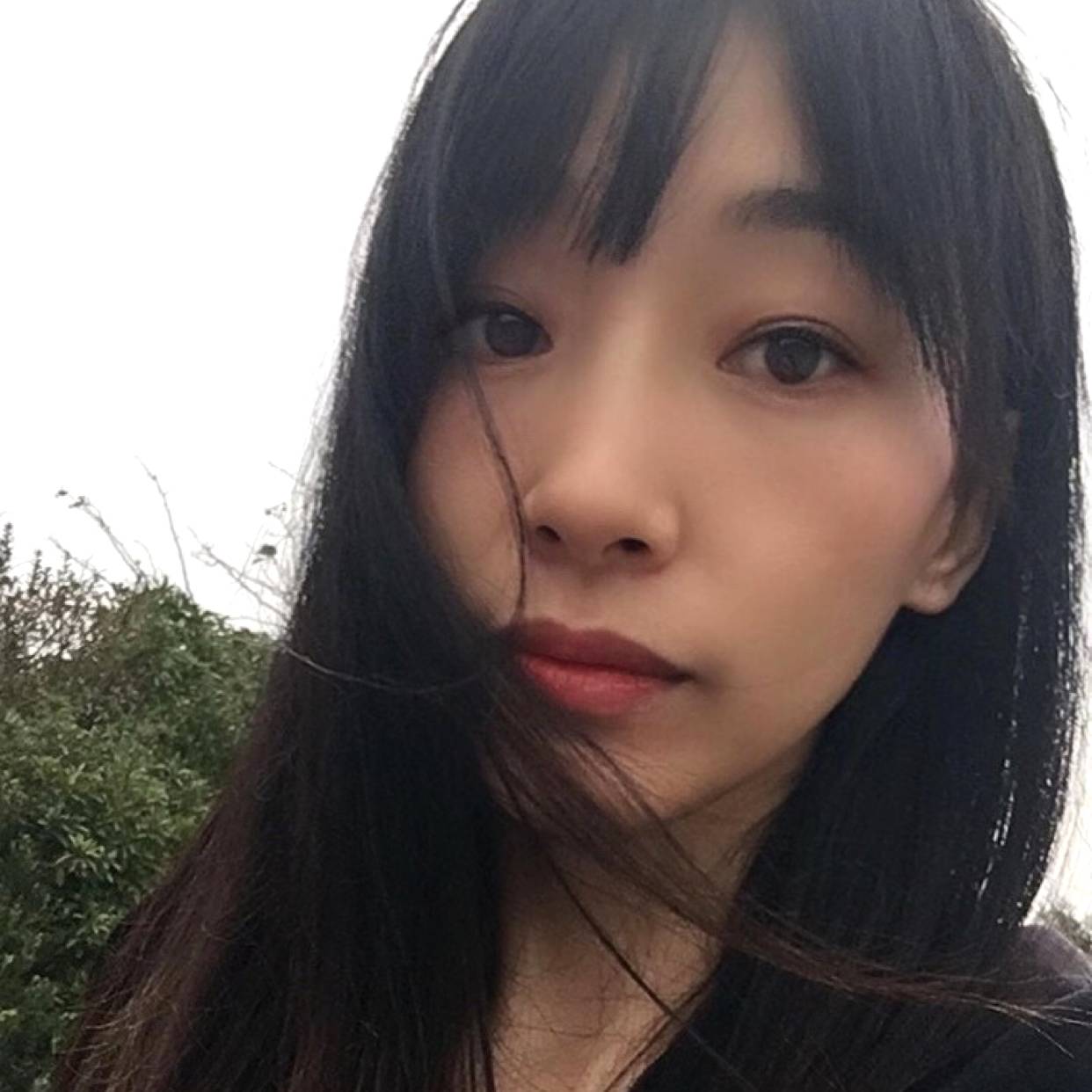夜晚的星辰的照片