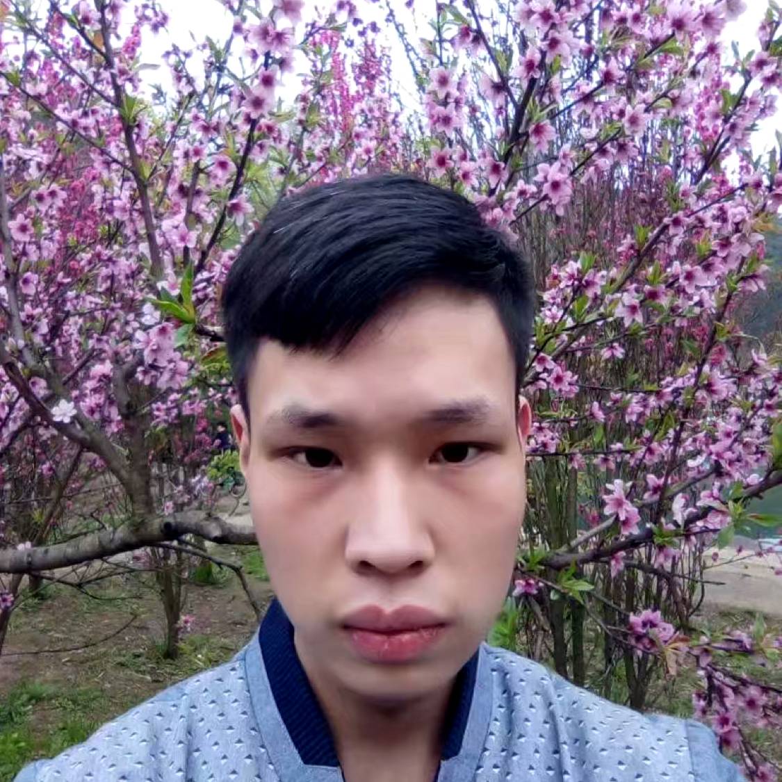 宠鱼de猫的照片