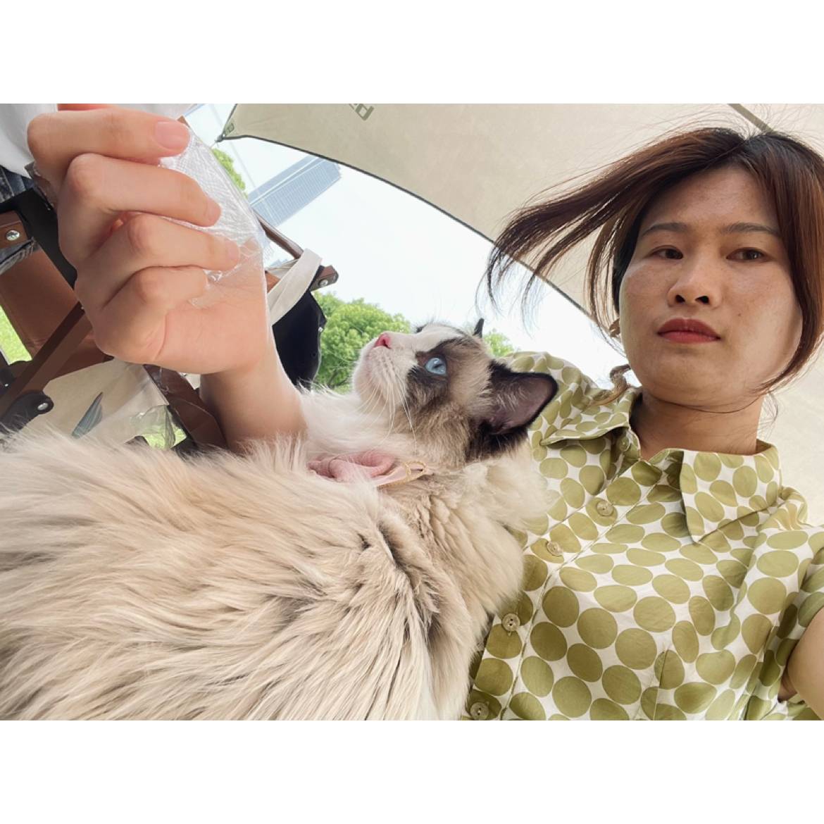 贪玩薯片1234的照片