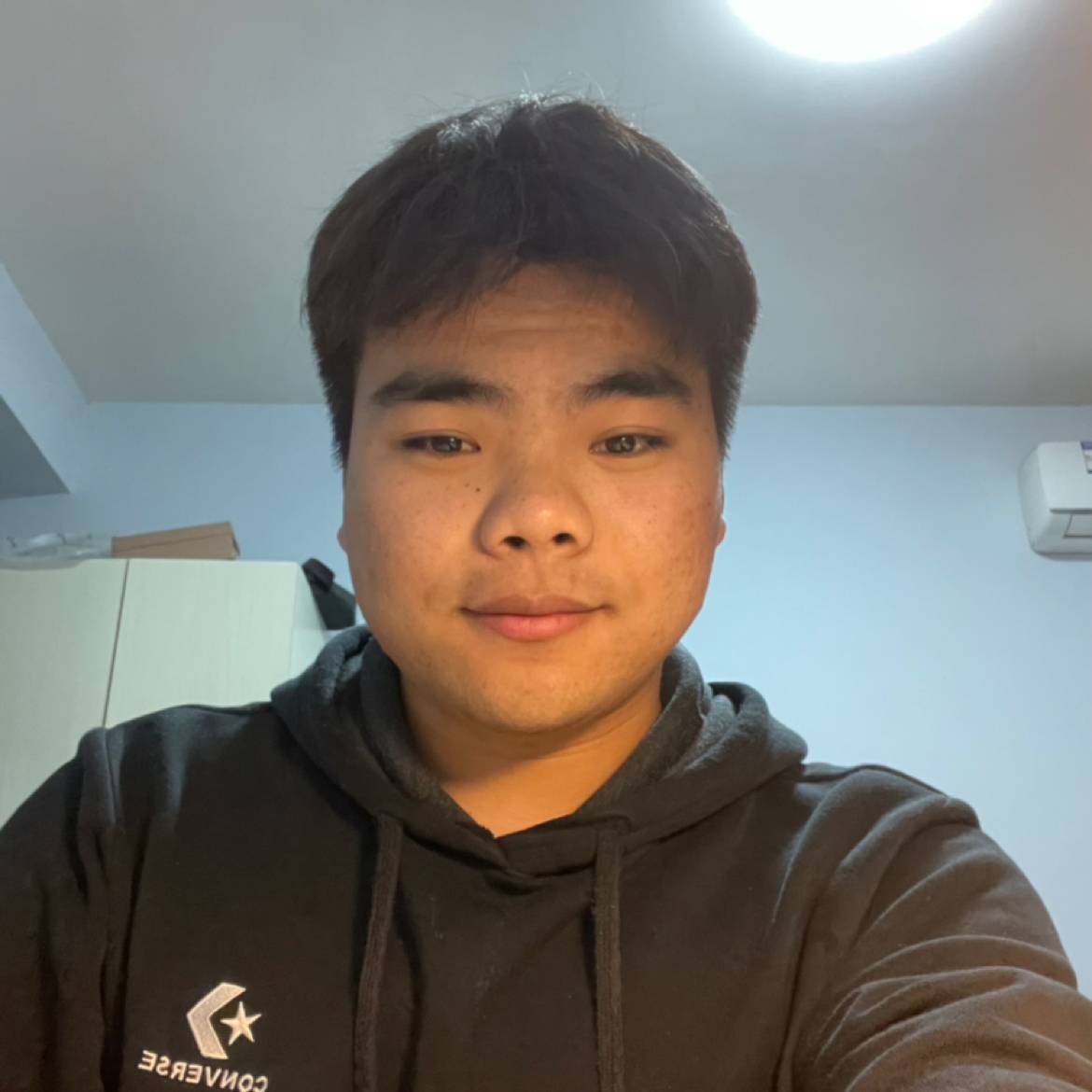白羊踢傻傻的照片