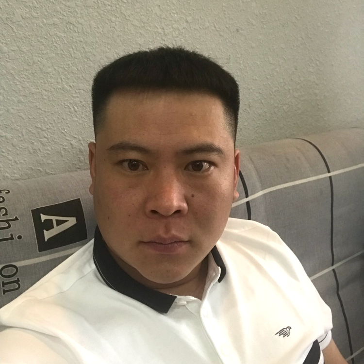 奔跑的千里马的照片