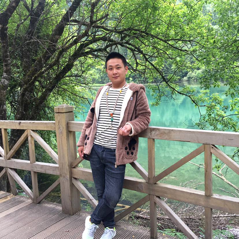 钢笔爱苹果的照片