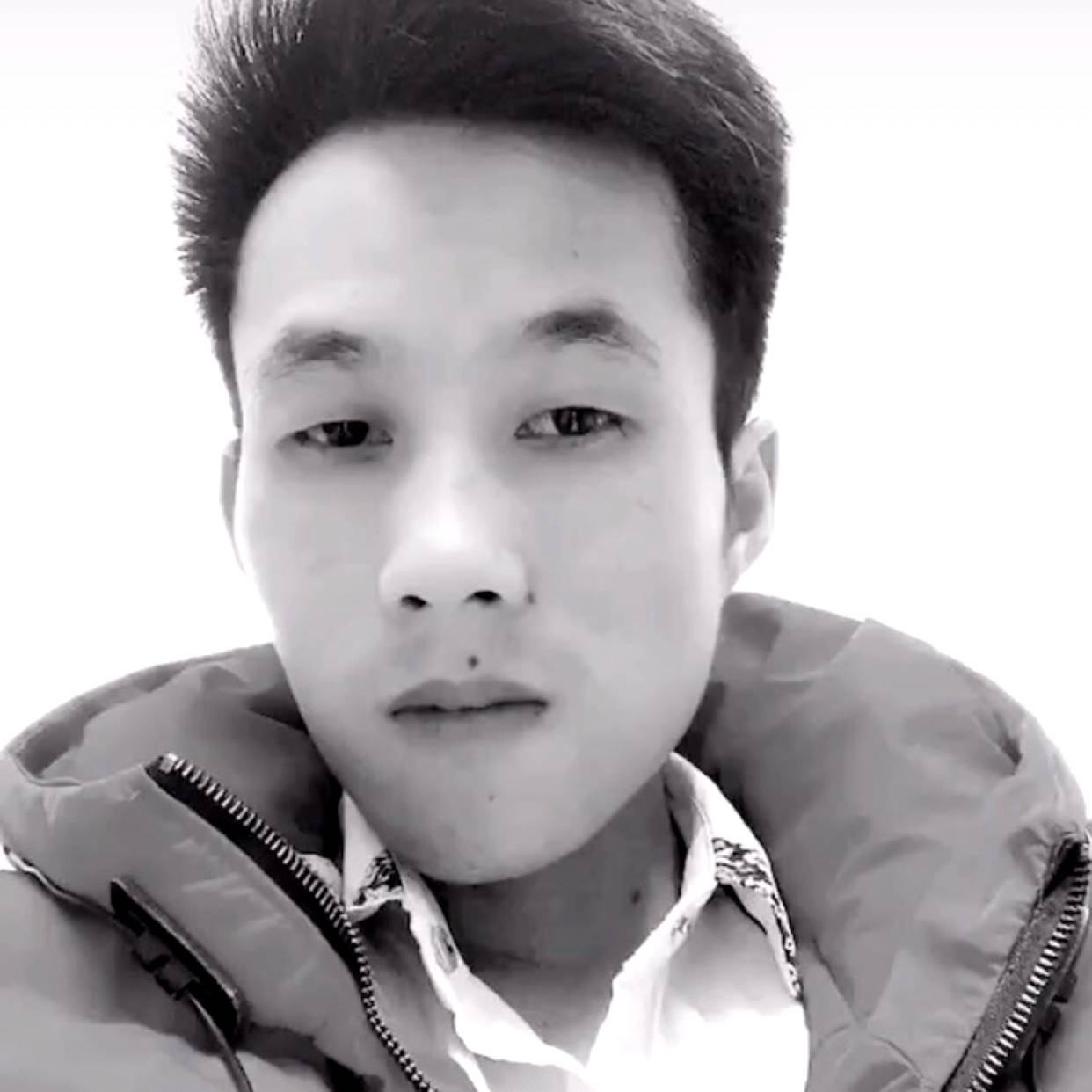 缓慢爱恋含羞草的照片