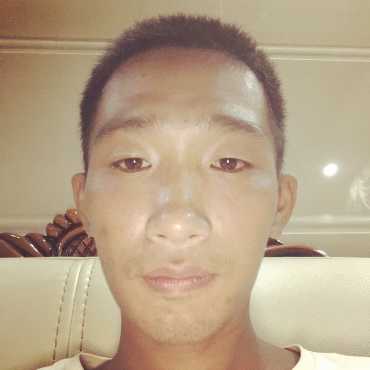 狗停止清脆的照片