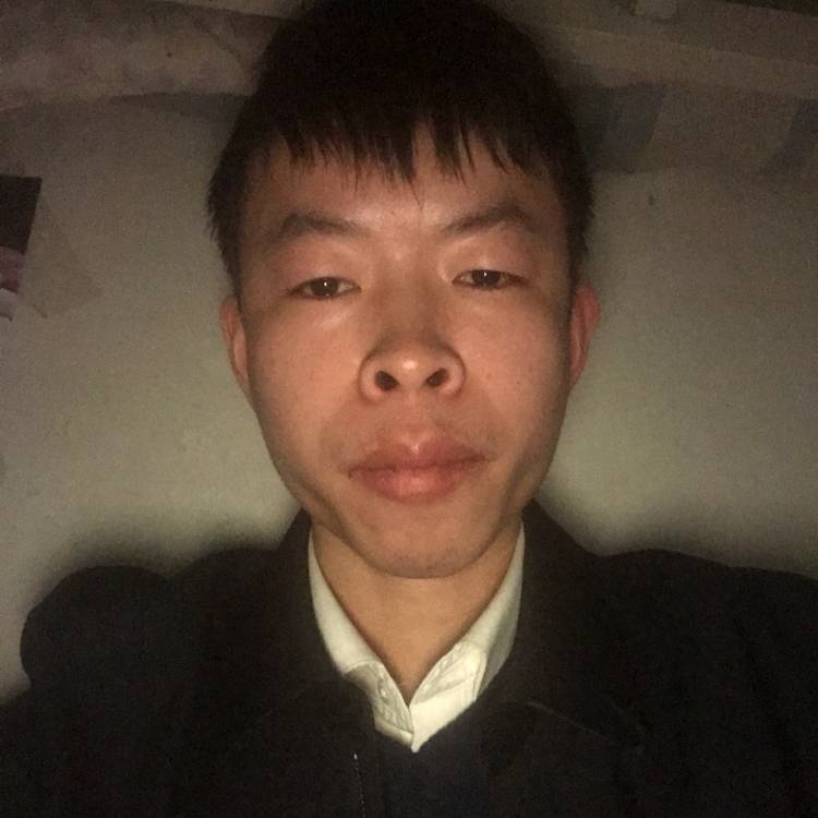 从容向蓝莓的照片