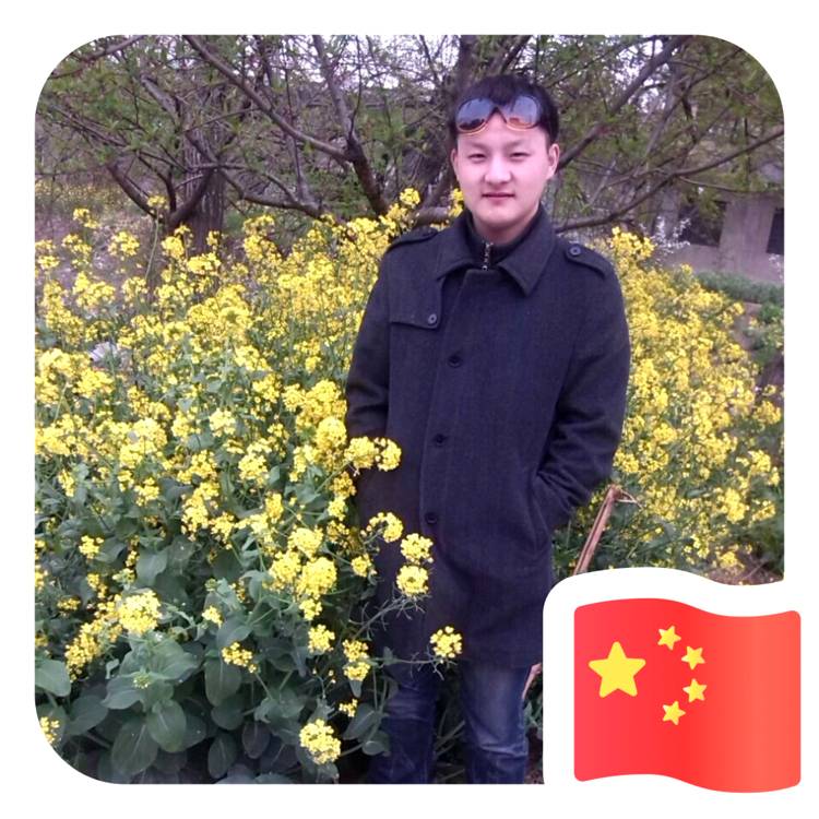 灰狼挽手现代的照片