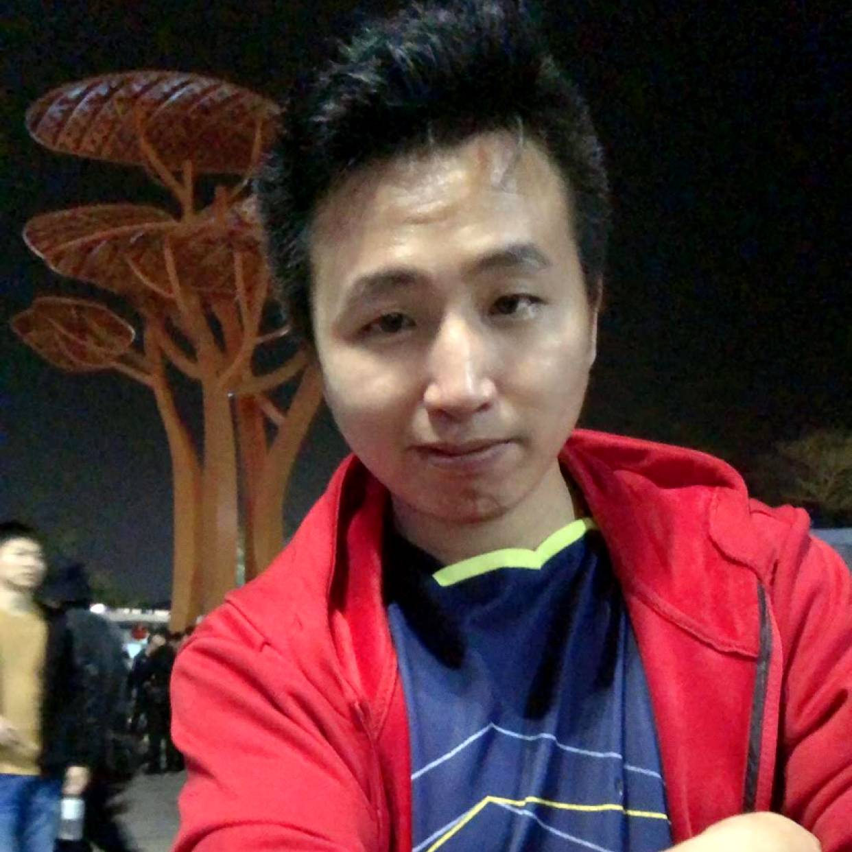 烤鸡向优美的照片