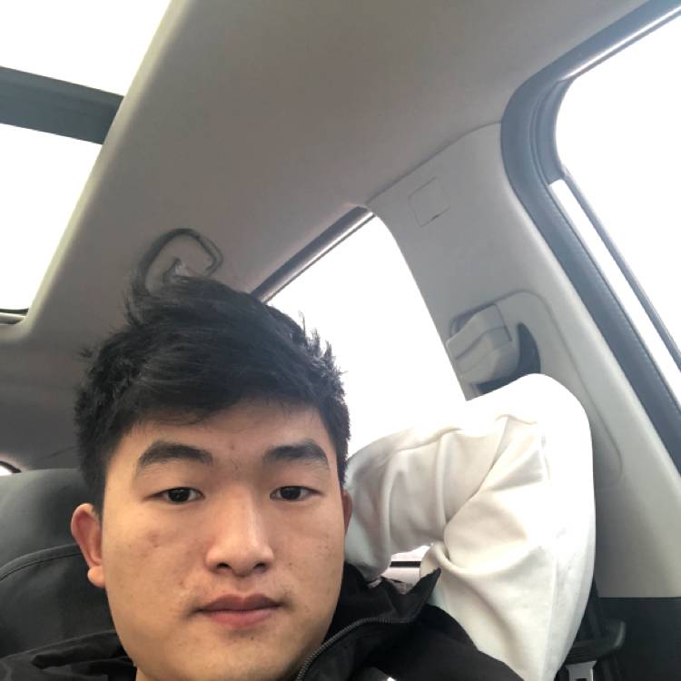 大象酷炫的照片