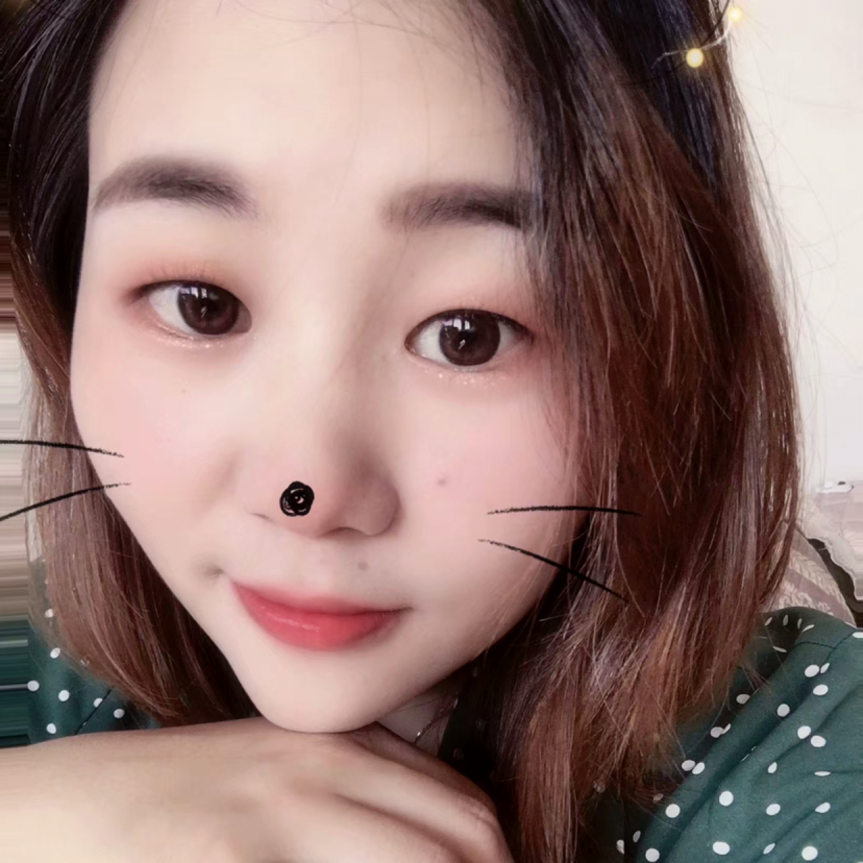 粗暴那小刺猬的照片