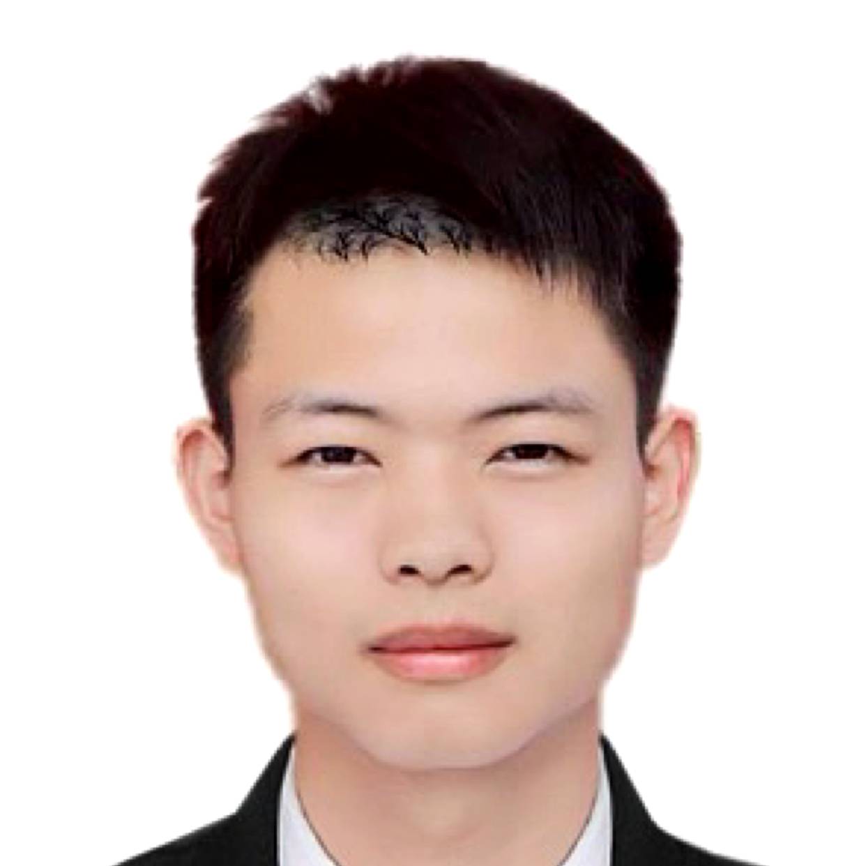 春天演变单纯的照片