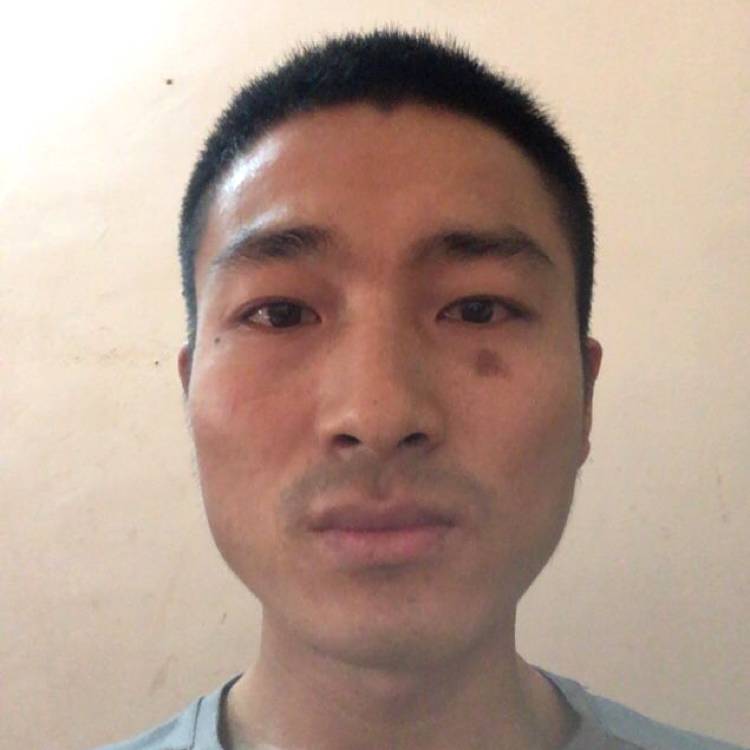 大白迎简单的照片