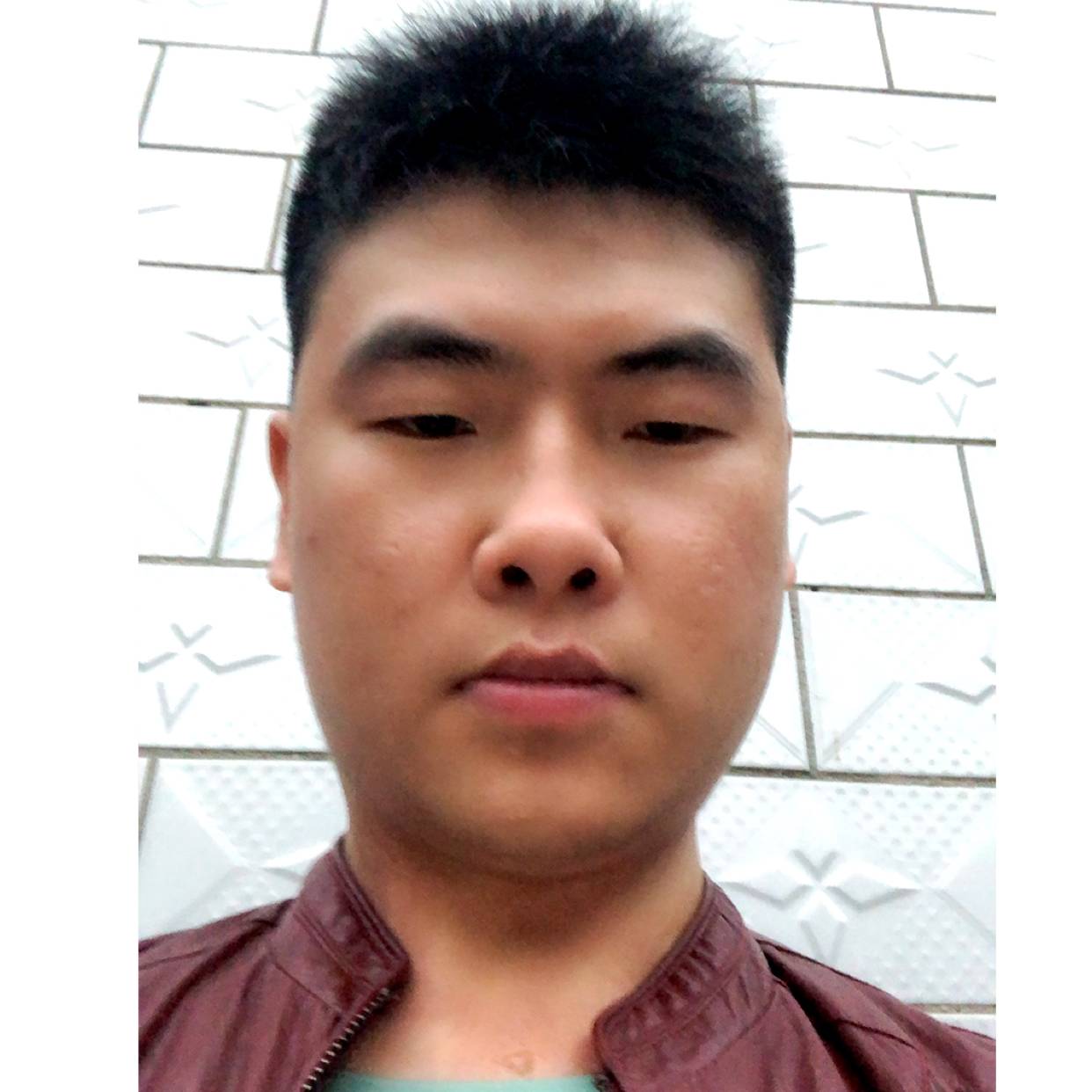 灰狼踢独寂的照片