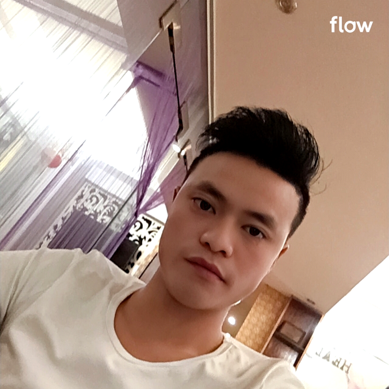 绚烂深拥大树的照片